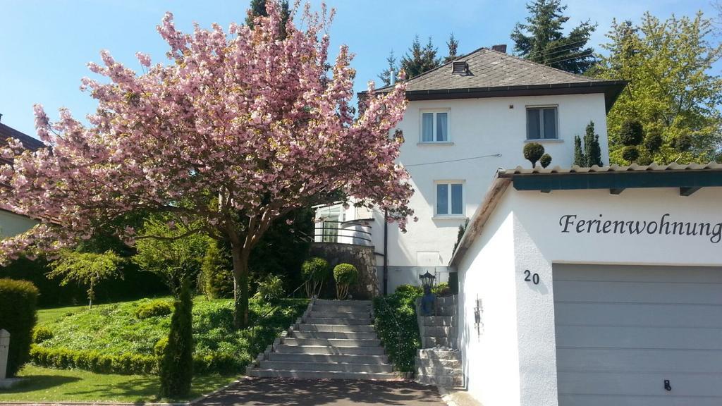 Burgauer Hof 아파트 객실 사진